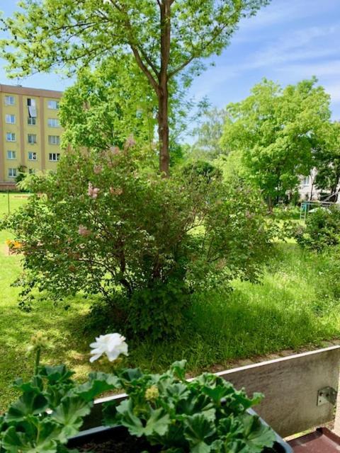 Apartman Snyt Primka Olmütz Exterior foto