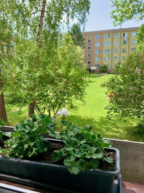 Apartman Snyt Primka Olmütz Exterior foto